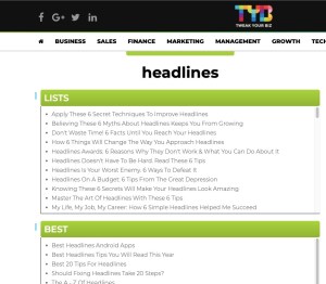 Headline Tools: Tweak You Biz