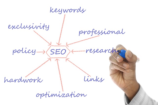 SEO Tools help with executing your strategy to get your site to rank higher. 